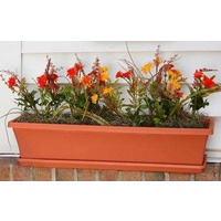 Window box 500mm long terracotta colour plastic (not including tray) c19