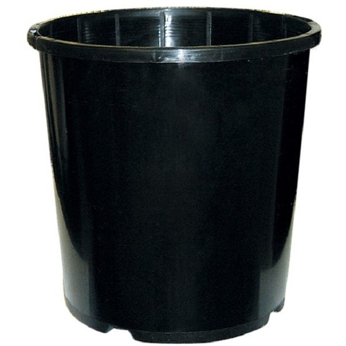 Carton of 160 - 165mm Black Pot - 1gal - also suit solo 150 system