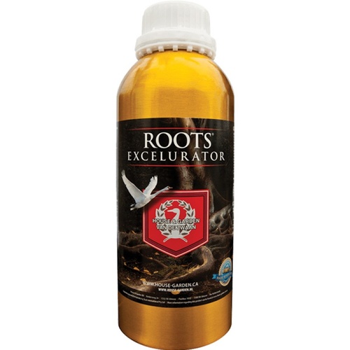 Roots Excelurator 1L H+G