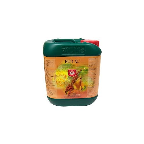 Bud XL 20L H+G