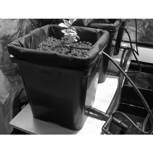 2 Pot Recirculating Satellite Hydroponic System kit  - High performance Growning System