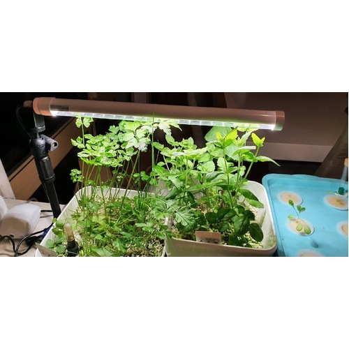 Kitchen Bench Grow light -60cm LED bar 10w with stand