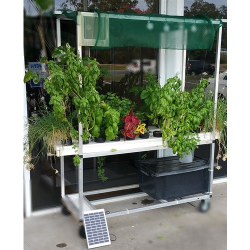 2 Row solo kit SOLAR VERSION - 1xsolo100 1 x solo 150 60L tank solar pump + stand + nutrient