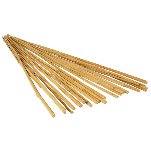 Bamboo Stake Natural colour 60cm 8-10mm round cp500