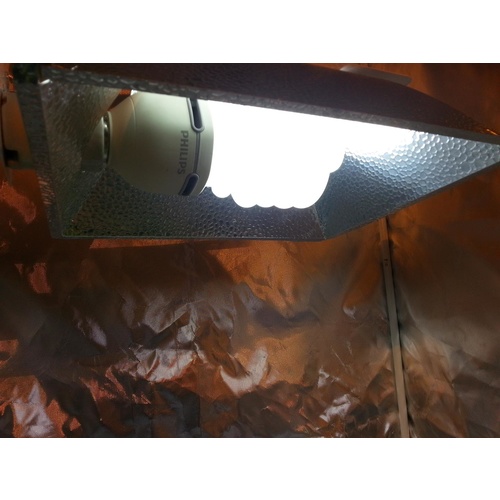 Cultiv8 75W Fluro lamp built in ballast CFL - c6