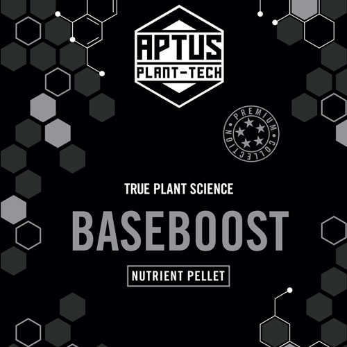 Baseboost 1kg Aptus