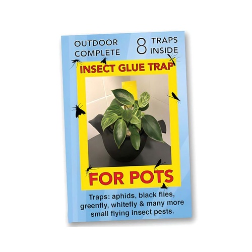 Insect Sticky Glue Traps for Pots - Pack 8