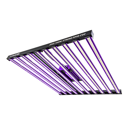 Zeus LED extreme 1000 Lumatek