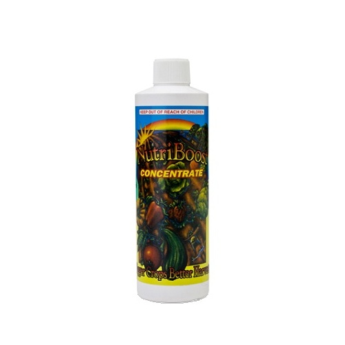Nutriboost 500ml