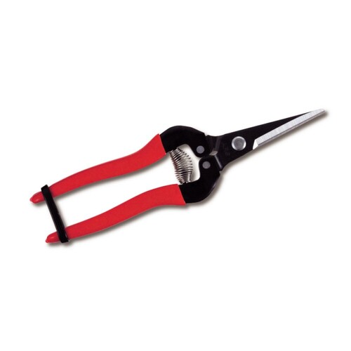 ARS Fruit Pruner - Fruit/Flower Pruning Scissors