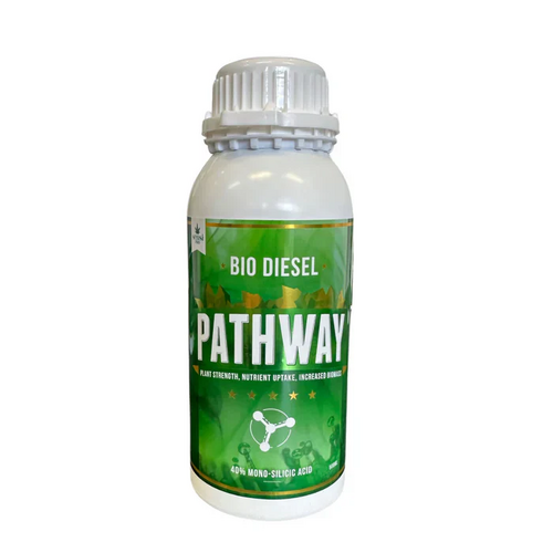 Pathway 40% Mono Silicic Acid 100ml