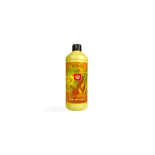 Bud XL 250ml H+G