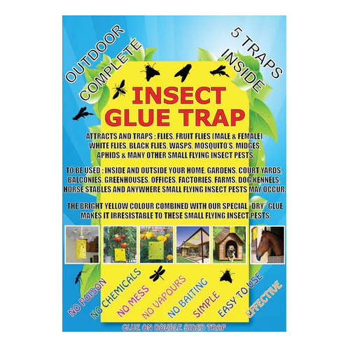 Insect Glue Trap - Pack of 10