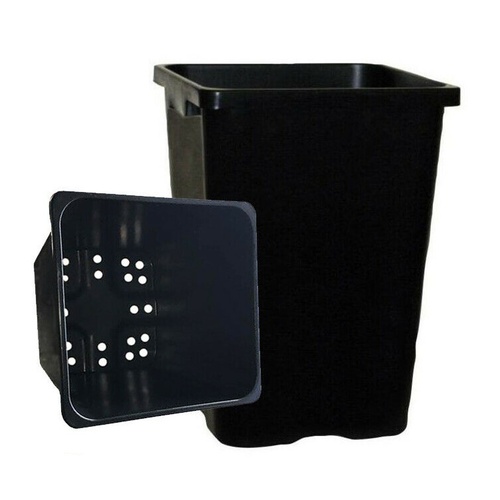 Square Pot - Tall 290mm black WITH HOLES