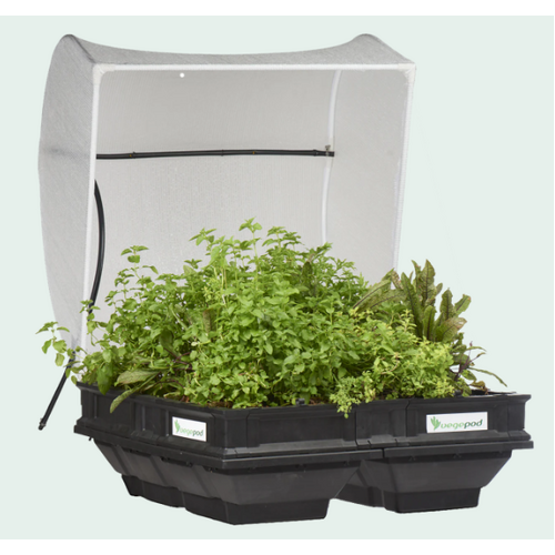 Vegepod medium - 100cm x 100cm self watering growing bed