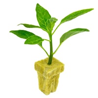 Propagation